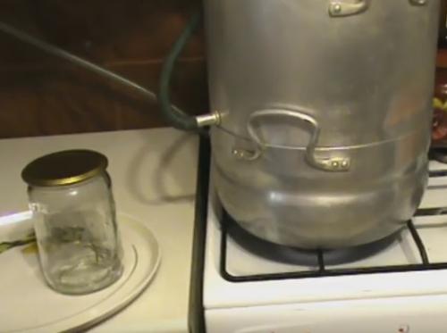 Как закупорить виноград на зиму. Как приготовить сок из винограда в соковарке: