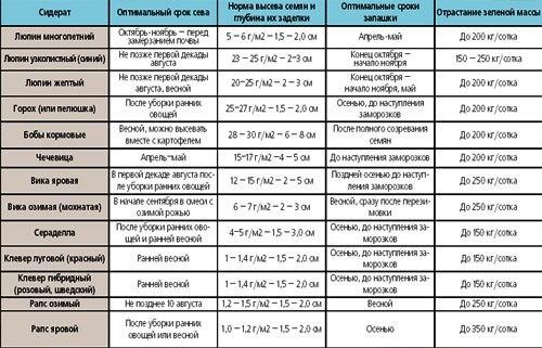 Сидераты осенью. Веселый Урожайник выращивание и уход