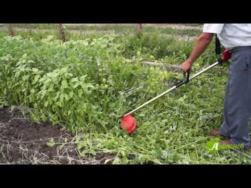 Как улучшить почву осенью.  Севооборот