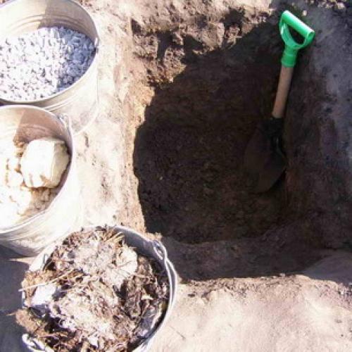 Можно ли осенью посадить виноград. Правила посадки виноградных саженцев 02