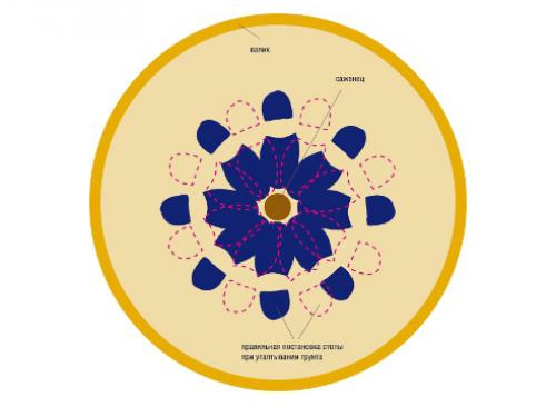 Как правильно посадить яблоню с прививкой. Посадка яблони: как правильно