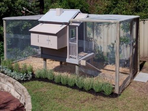 Идеи курятника на даче 03