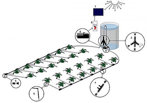 Бак для автоматического полива.  Системы капельного полива «Синьор Помидор»