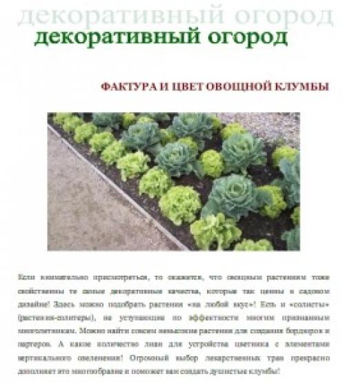 Что посадить в огороде неприхотливое.