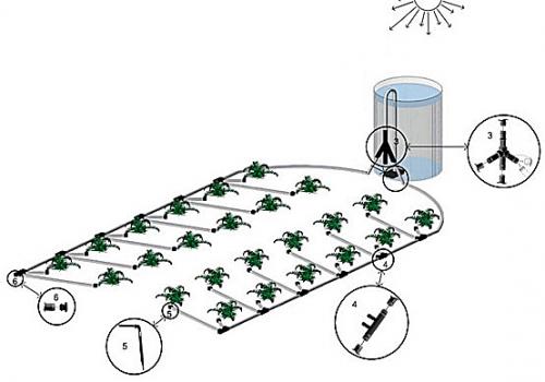 Бак для автоматического полива.  Системы капельного полива «Синьор Помидор»