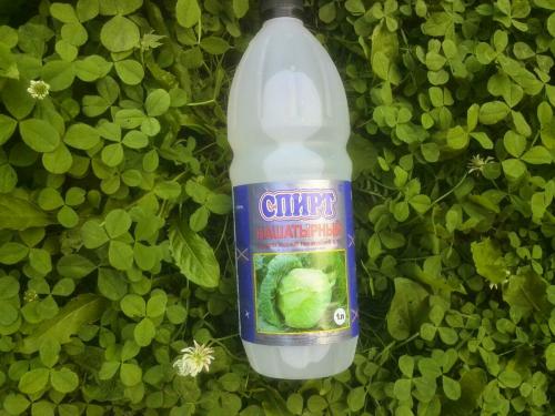 Средство от гусениц на капусте. Чем обработать капусту от гусениц. Лучшие народные средства