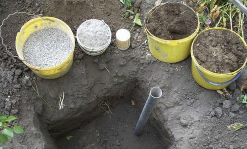 Когда лучше пересаживать виноград осенью или весной. Как правильно пересадить виноград осенью на другое место