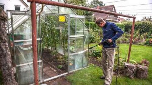 Зеленая земля в огороде, как бороться. Как бороться с зеленой землей в теплице? 12 Зеленая земля в огороде, как бороться. Как бороться с зеленой землей в теплице? 12