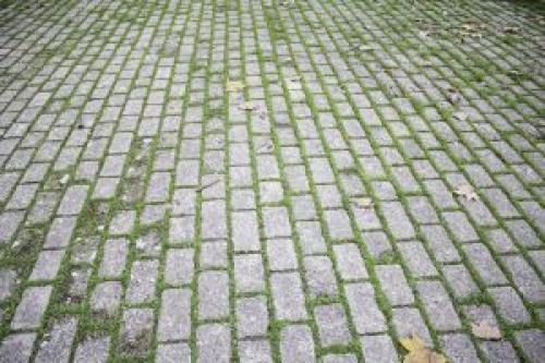 Как избавиться от мха на асфальте. Как удалить мох с тротуарной плитки