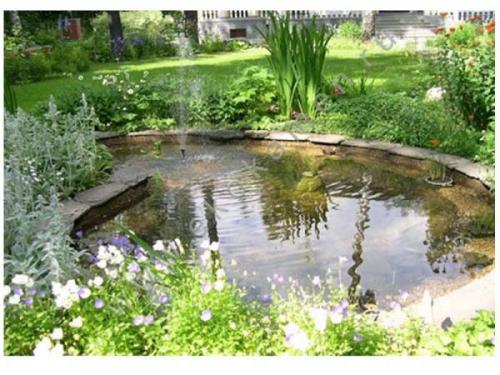 Дихлорофен от мха. Способы борьбы