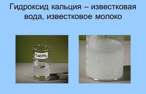 Кила капусты меры борьбы. Почему кила опасна