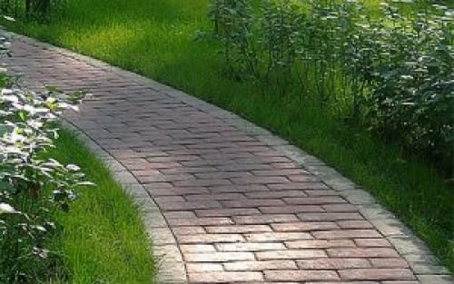 Как избавиться от мха на асфальте. Как удалить мох с тротуарной плитки