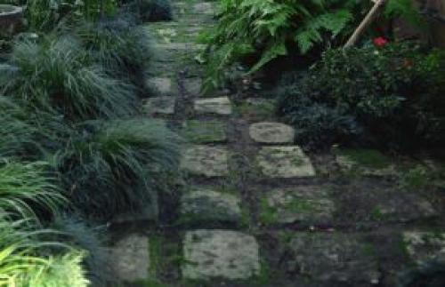 Как избавиться от мха на асфальте. Как удалить мох с тротуарной плитки