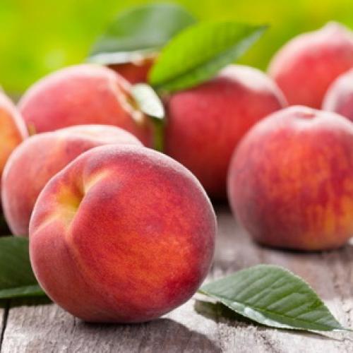 Борьба с курчавостью персика. Правила успешного лечения 06