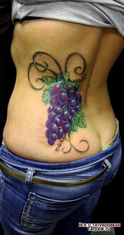 Что такое виноградная лоза. Строение лозы 04