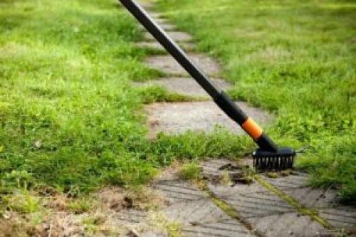 Как избавиться от мха на асфальте. Как удалить мох с тротуарной плитки