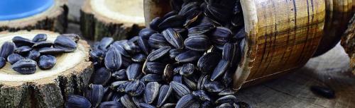 Шелуха от семечек вред. И от шелухи семечек может быть польза