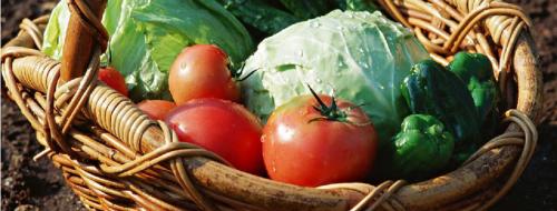 Шелуха от семечек вред. И от шелухи семечек может быть польза