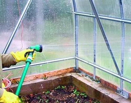 Чем обработать виноград осенью перед укрытием на зиму. Опрыскивание виноградника 06