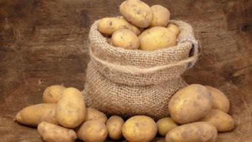 При какой температуре замерзает картошка в земле. Температурные условия