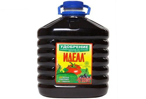 Когда цветет ремонтантная малина. Внесение удобрений весной