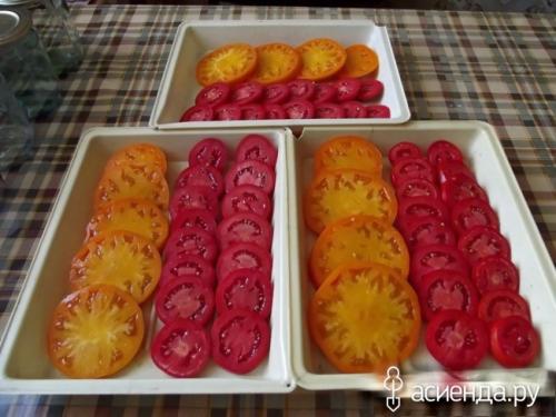 Томат Рио Гранде форум. Помидоры Рио Гранде. Собственный опыт. (Восстановленный пост).