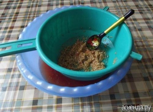 Томат Рио Гранде форум. Помидоры Рио Гранде. Собственный опыт. (Восстановленный пост).