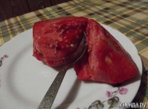 Томат Рио Гранде форум. Помидоры Рио Гранде. Собственный опыт. (Восстановленный пост).