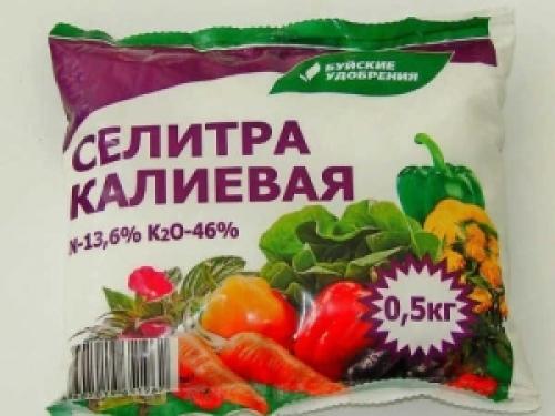 Не хватает калия огурцам чем подкормить. Правила приготовления удобрений 07 Не хватает калия огурцам чем подкормить. Правила приготовления удобрений 07
