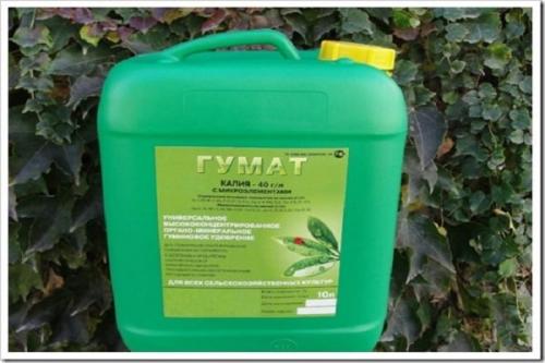 Внекорневая подкормка огурцов сульфатом калия. Разновидности калийных удобрений