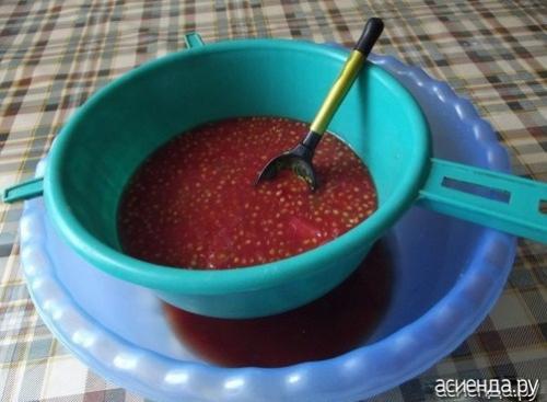 Томат Рио Гранде форум. Помидоры Рио Гранде. Собственный опыт. (Восстановленный пост).