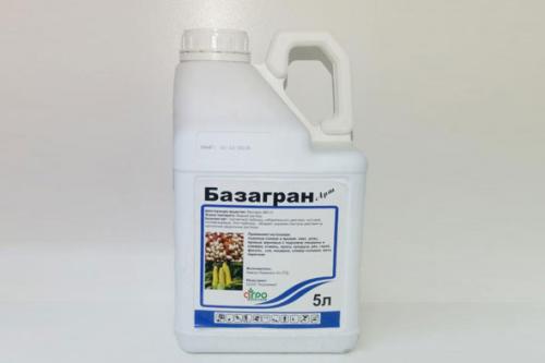 Яд от хрена. Как избавиться от хрена в огороде