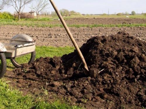 Подготовка почвы осенью под картошку. Правила подбора удобрений для разных видов почвы 07 Подготовка почвы осенью под картошку. Правила подбора удобрений для разных видов почвы 07