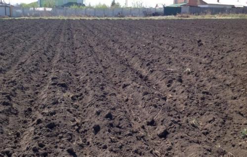 Предпосевная обработка почвы под картофель. Предпосевная обработка весной