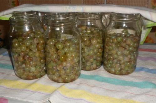 Как закрыть виноград на зиму в банки. без стерилизации