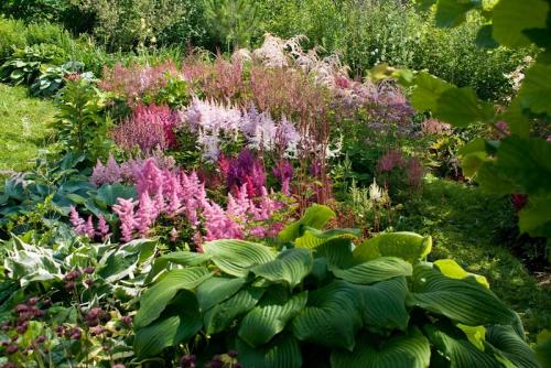 Какие овощные культуры можно сажать в тени. Какие овощи можно сажать в тени — основные секреты и хитрости 02 Какие овощные культуры можно сажать в тени. Какие овощи можно сажать в тени — основные секреты и хитрости 02