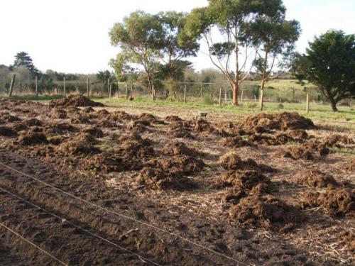 Подготовка почвы осенью под картошку. Правила подбора удобрений для разных видов почвы 06 Подготовка почвы осенью под картошку. Правила подбора удобрений для разных видов почвы 06