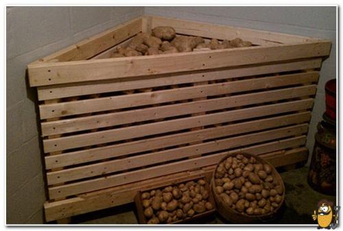 Сделать ящик для картошки своими руками. Ящик для картофеля своими руками чертежи. Как сделать ящик для хранения картофеля зимой своими руками? Подогрев ящика с картофелем на балконе: плюсы и минусы 01 Сделать ящик для картошки своими руками. Ящик для картофеля своими руками чертежи. Как сделать ящик для хранения картофеля зимой своими руками? Подогрев ящика с картофелем на балконе: плюсы и минусы 01