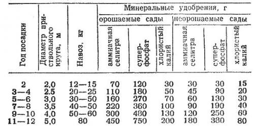 Подкормка и уход за яблонями. Виды подкормок и время внесения