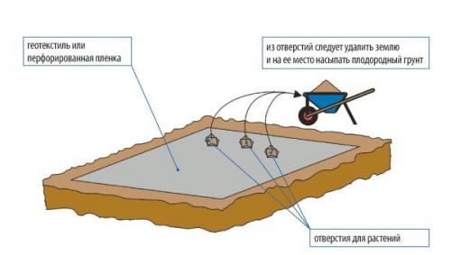 Гравийный сад 01