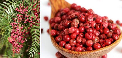 Перец черный горошек выращивание из семян. Виды перца