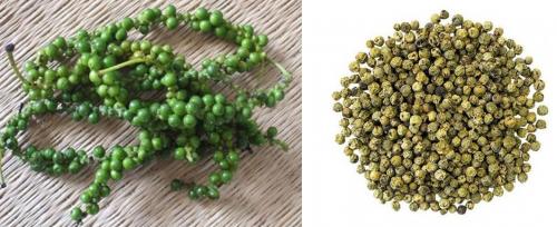 Перец черный горошек выращивание из семян. Виды перца