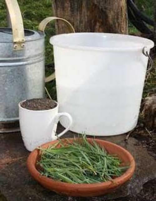 Птичий помет, как вносить осенью. Куриный помет, как удобрение: рекомендации по внесению 09 Птичий помет, как вносить осенью. Куриный помет, как удобрение: рекомендации по внесению 09