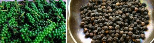 Перец черный горошек выращивание из семян. Виды перца