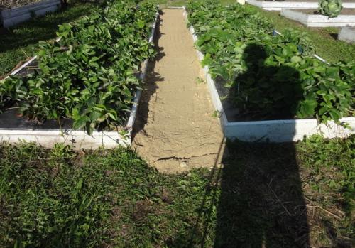 Как сделать, чтобы в проходах трава не росла. 