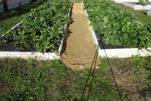 Как сделать, чтобы в проходах трава не росла. 