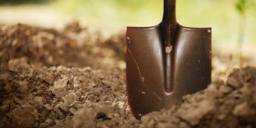 Удобрение для груши осенью. Осенние мероприятия по уходу за фруктовым садом 04