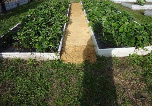 Как сделать, чтобы в проходах трава не росла. 