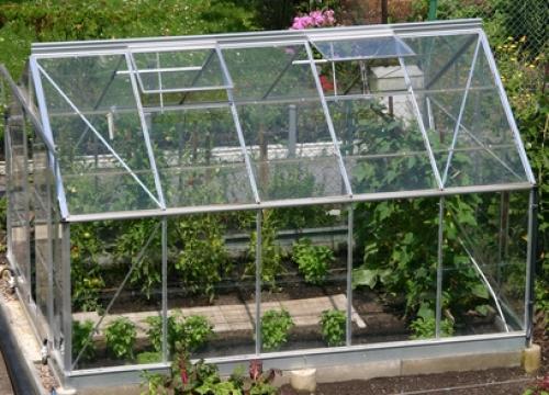 Зеленеет земля на огороде, что делать. Зеленеет земля в огороде, что делать 07 Зеленеет земля на огороде, что делать. Зеленеет земля в огороде, что делать 07