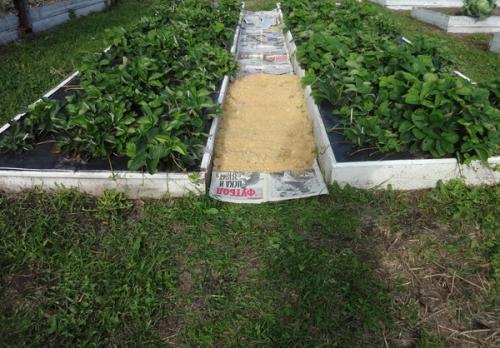 Как сделать, чтобы в проходах трава не росла. 